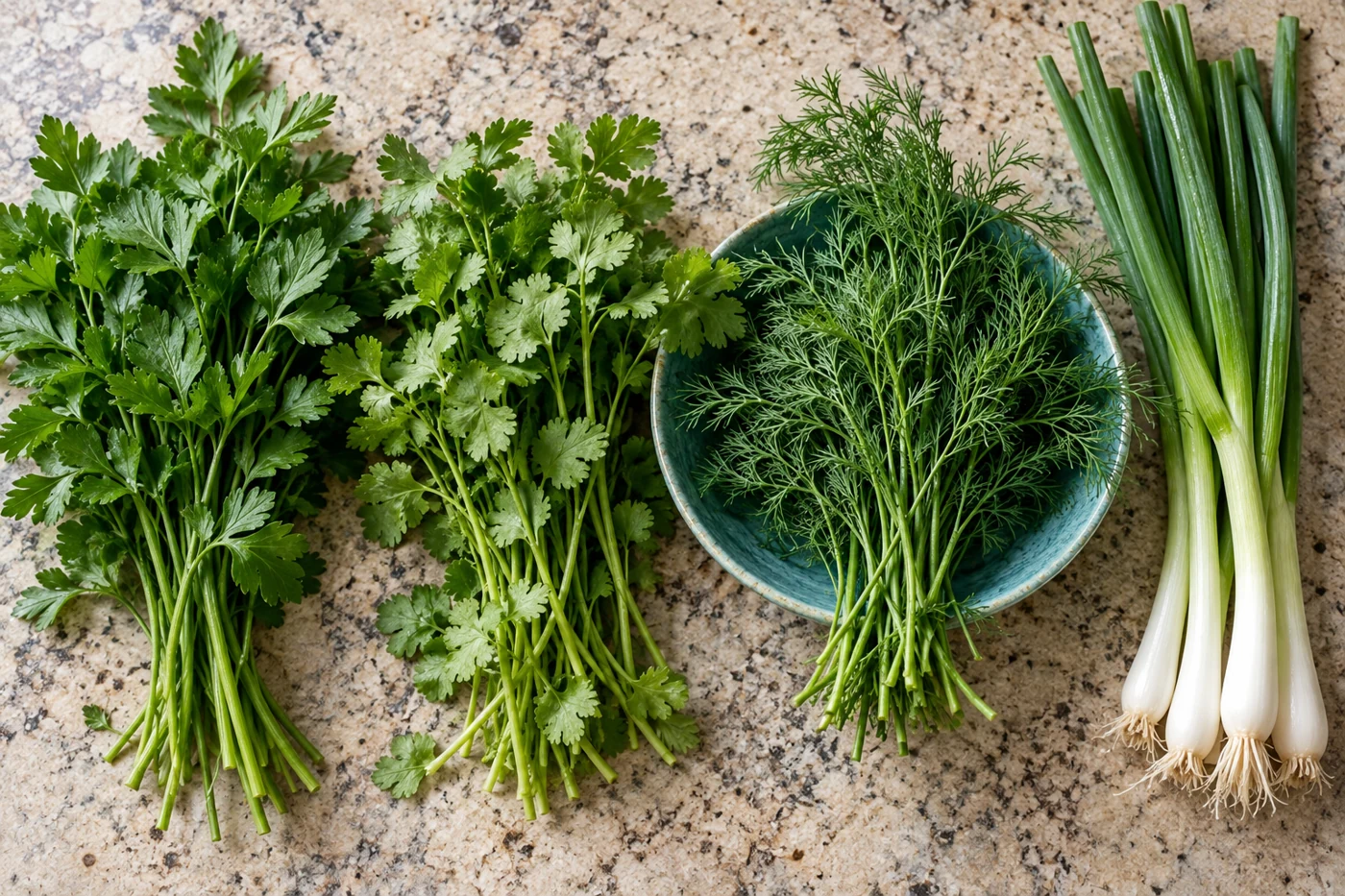 Les herbes fraîches